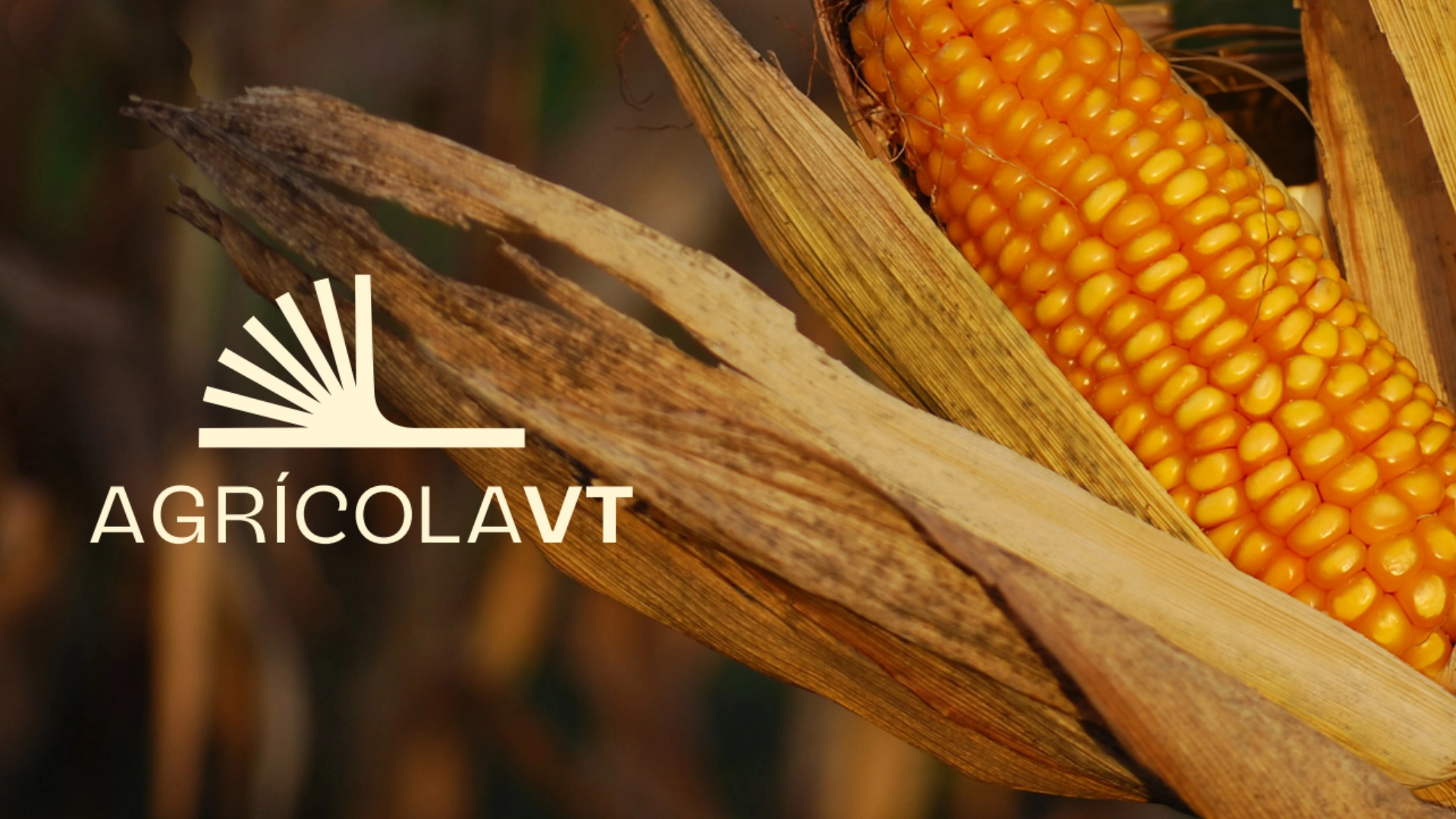 AgricolaVT - Argentina